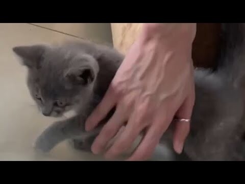 [抖音] Tik Tok Trung Tổng Hợp Video Những Bàn Tay Đẹp Xỉu Của Các Chồng | Mervyn