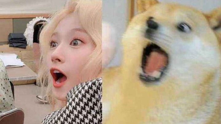 [TWICE/SANA Soyeon]! This is the silly Shiba Inu Sana who can even finish a cloze test!