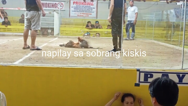 may ari ng sabungan kalaban