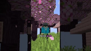 Biome Terbaik (menurutku) Di Minecraft???