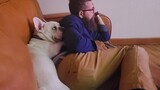 Cute Dog Won't Leave Their Human Alone - Cute Animal Show Love