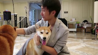 VLOG : หาแฟนให้ชิบะอินุ!!