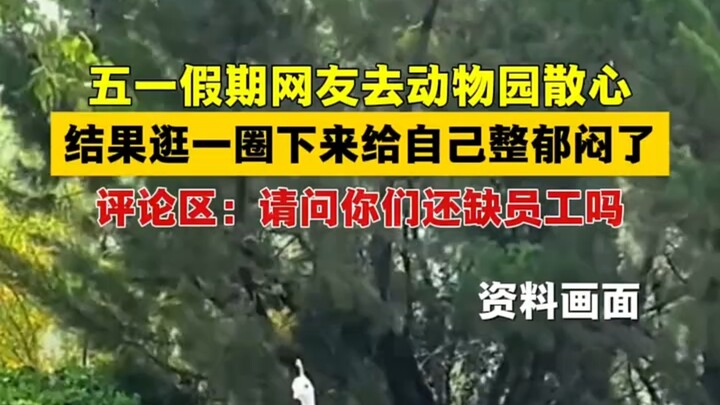 Libur May Day pergi ke kebun binatang untuk menenangkan pikiran, setelah berkeliling malah jadi muru
