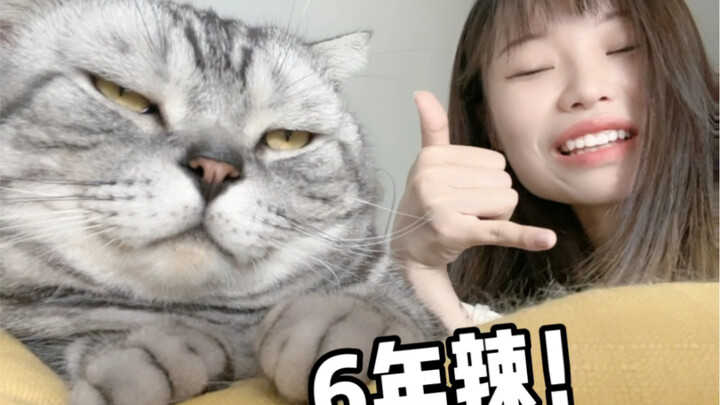 แมวใบ้ 6 ปีในที่สุดก็เปล่งเสียงได้แล้ว!
