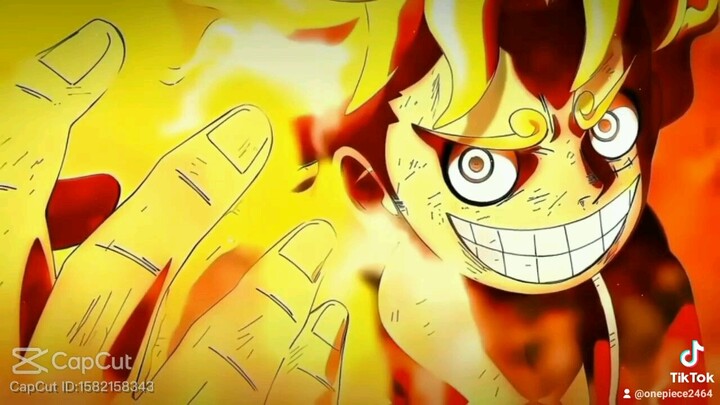 Vua Hải tặc tương lai