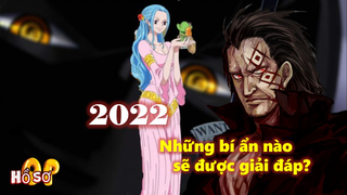 Những bí ẩn One Piece nào sẽ được giải đáp vào năm 2022?
