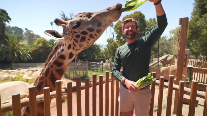 I visited America's best beach zoo,