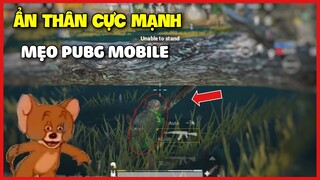 MẸO PUBG MOBILE | CÁCH ẨN THÂN VÀO BỤI CỎ NHƯ VIỆT CỘNG TRỐN KẺ ĐỊCH NHƯ HACKER | TIP AND TRICKS