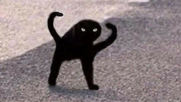 Không hiểu sao tôi lại đăng cái này :v