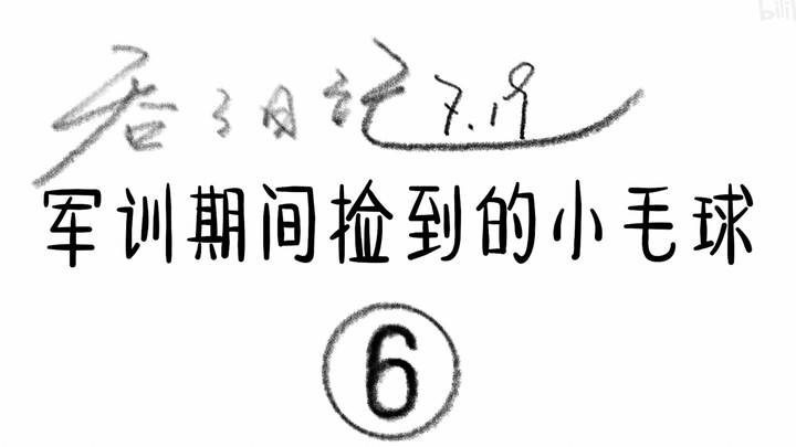 6. Nhật ký của Tun Tun – Khi cuộc sống quân sự của bạn có thêm một chú chim