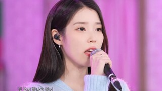 IU's Live Performance Covering and Arranging "IVE - ELEVEN"!