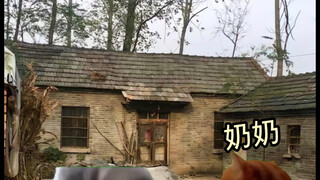 ［猫meme ］当我回咱奶家避暑时，牲畜的反应