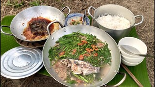 TRỒNG RAU & THẢ CÁ || TẬP 11 NHỮNG GIỐNG CÂY ĐẦU TIÊN VÀ BỮA CƠM CHIỀU ĐẠM BẠC