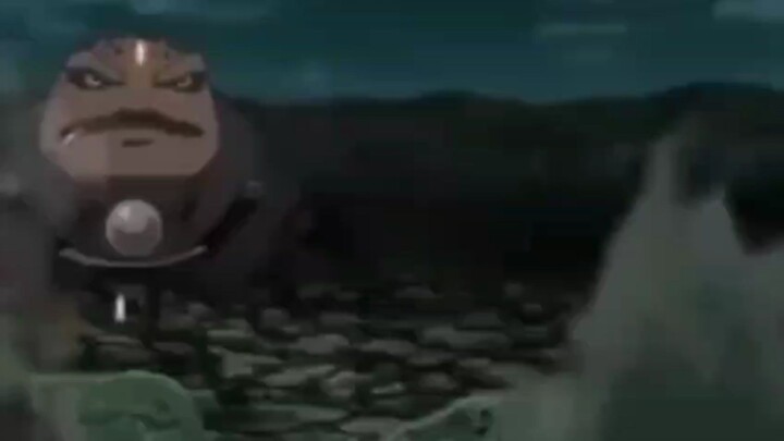 kodok