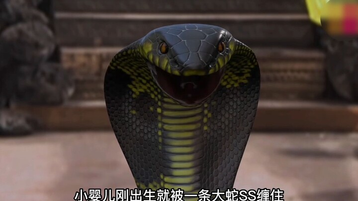 ملكتُ صغير تشبثت بها أفعى ضخمة فور ولادتها، لكن أمها لم تبدِ أي قلق.