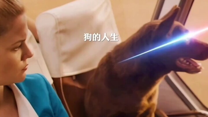 Tidak terlalu berbahaya, tapi sangat menghina.