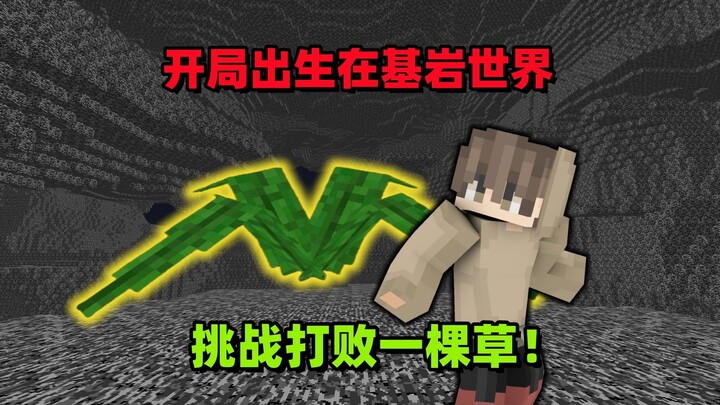 มายคราฟ: เริ่มต้นเกิดในโลกบล็อกหิน ท้าดวลบอส “ต้นหญ้า” หนึ่งต้น!