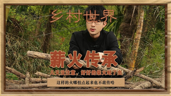 Passing the Torch: I’d been distracted for a few days, and my perfectly fine firewood got infested w