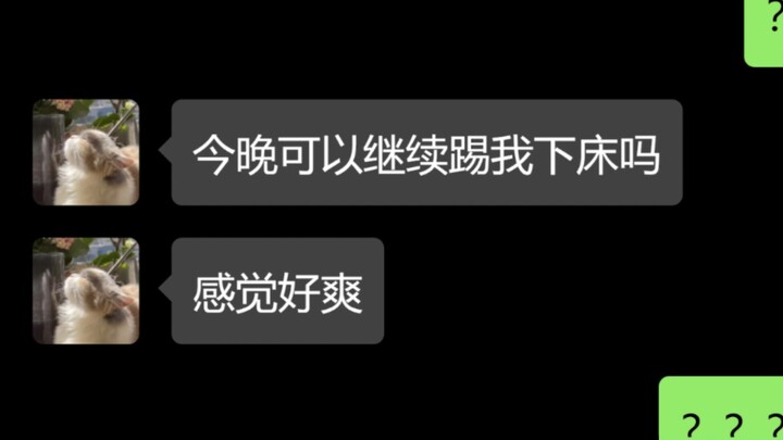 เมื่อลูกแมวของคุณกลายเป็นปีศาจ (8)