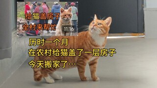 Kami membuat beberapa kamar untuk kucing