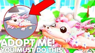 😱*HURRY* DO THIS BEFORE ITS TOO LATE!👀 NEW GARDEN EGG PETS UPDATE! ROBLOX