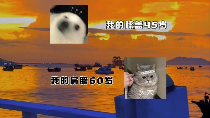 《 当 代 年 轻 人 现 状 》