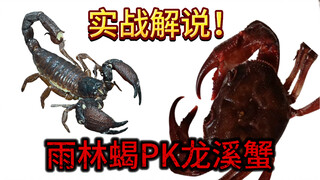 【绝境反杀】雨林蝎血战龙溪蟹，雨林毒客与装甲力士的宿命之战！