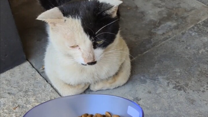 Hitler sedang menunggu makanan