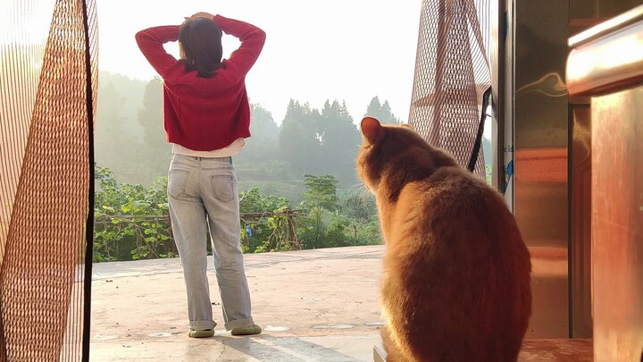 My Rural Life with My Little Cat!