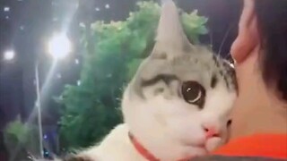 Cat: Woman, I've got you beat by a long shot