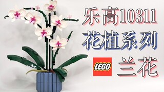 【魂水摸鱼】乐高花植10311兰花 / 兰之猗猗 扬扬其香