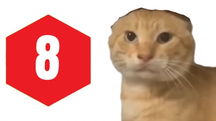 【IPN】8 نقاط، مراجعة «صيغة هاكي»: مش راح تضغط وتشوف؟ يا حديد هاكي، أنت بجد...