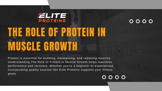 The Role of Protein in Muscle Growth