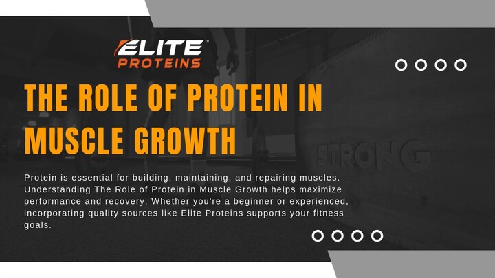 The Role of Protein in Muscle Growth