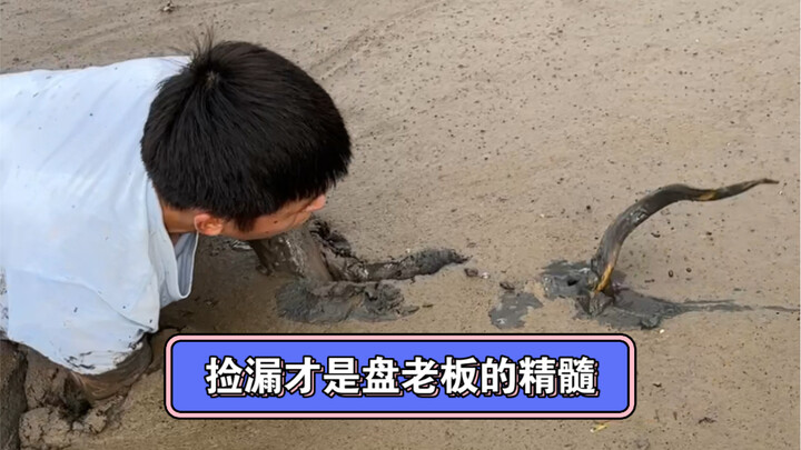 Mengambil kesempatan adalah inti dari seorang bos koleksi