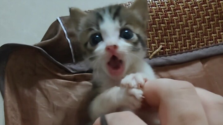 تمرين ما بعد الأكل لهاكيمي ₍˄·͈༝·͈˄*₎◞ ̑̑