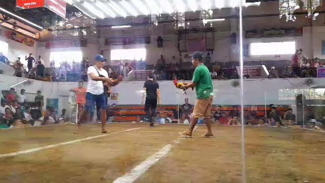3rd fight win against good Rooster basaan po.