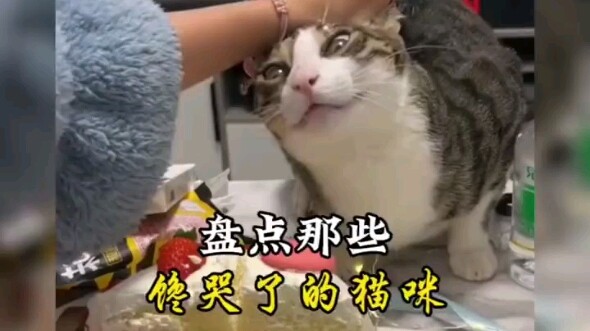 เสน่ห์ของอาหารทำให้น้ำตาแห่งความตื่นเต้นไหลอาบมุมปาก