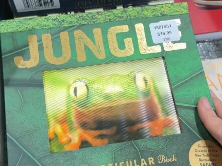 I bought a really fun book!