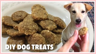 DIY Dog Treats (QUICK & EASY RECIPE) | Golden Retriever, Aspin, &  Beagle - Philippines