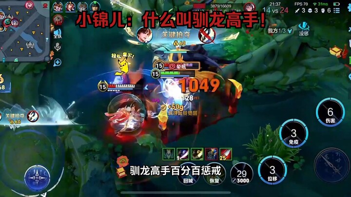 这就是驯龙高手！！！百分百惩戒！！！