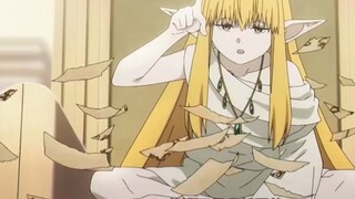 赛丽艾:这种遗言我一点都不想答应，真令人不快。居然给我看这种东西，我跟芙拉梅直到最后都没能互相理解，到头来也就是个心血来潮培养的徒弟罢了