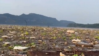 Teman-teman, tolong jangan sembarangan membuang sampah lagi, aku di sini diam-diam mendapatkan keunt