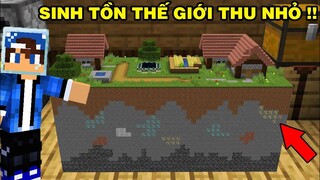 Mình Đã Thử Thách Sinh Tồn | Trong Cả Thế Giới Thu Nhỏ Lại | TRONG MINECRAFT PE..!!