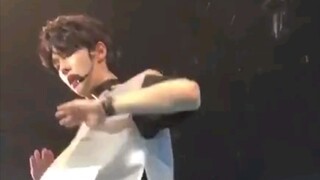 原来你迷18年就开始玩随舞了