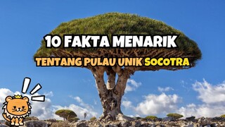 PULAU DAJJAL !? PULAU SOCOTRA