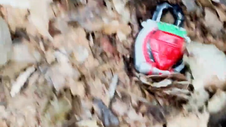 [Kamen Rider] Planting strawberries in Wandai Forest... can actually get Ichigo Kurosaki!