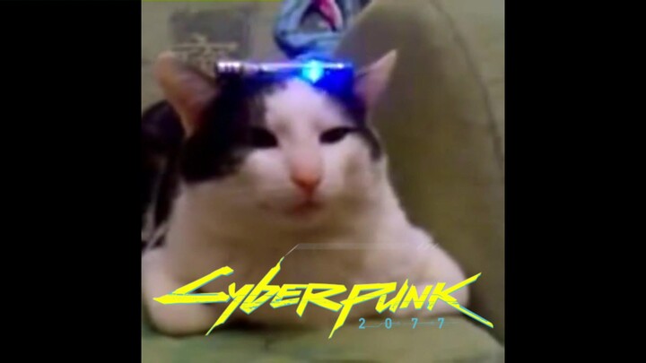 Cyberpunk 2077: The Fighting Nation’s Enhanced Power Edition~
