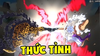 Cấp Độ THỨC TỈNH Trái Ác Quỷ hệ ZOAN !!! LUFFY và Rob LUCCI ở Cấp Độ MẠNH NHẤT - One Piece Chap1069