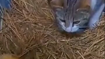 Overflowing maternal love